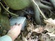 Finding a Letterbox