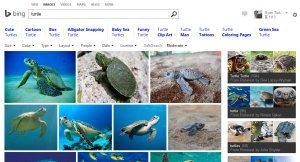 Image Search